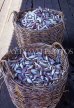 MALAYSIA, Pangkor Island, netted fish in baskets, MSA451JPL
