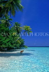 MALDIVE ISLANDS, Biyadhoo Island, seascape and  coconut trees, MAL87JPL
