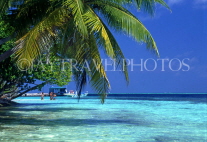 MALDIVE ISLANDS, Biyadhoo Island, seascape and  coconut trees, MAL92JPL