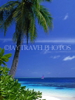 MALDIVE ISLANDS, Biyadhoo Island, seascape and coconut tree, MAL493JPL