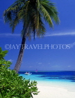 MALDIVE ISLANDS, Biyadhoo Island, seascape and coconut tree, MAL495JPL