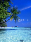 MALDIVE ISLANDS, Biyadhoo Island, seascape and leaning coconut tree, MAL497JPLA