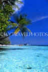 MALDIVE ISLANDS, Biyadhoo Island, seascape with leaning coconut tree, MAL89JPL