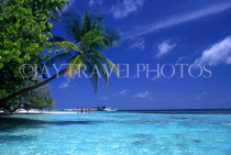 MALDIVE ISLANDS, Biyadhoo Island, seascape with leaning coconut tree, MAL90JPL