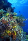 MALDIVE ISLANDS, Coral reef, MAL608JPL