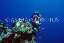 MALDIVE ISLANDS, Coral reef and diver, MAL599JPL
