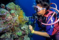 MALDIVE ISLANDS, Coral reef and diver, MAL680JPL