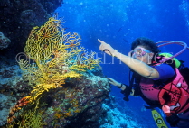 MALDIVE ISLANDS, Coral reef and diver, Sea Fan coral, MAL680JPL