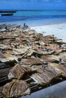 MALDIVE ISLANDS, Gulhi local fishing island village, salted fish drying, MAL130JPL