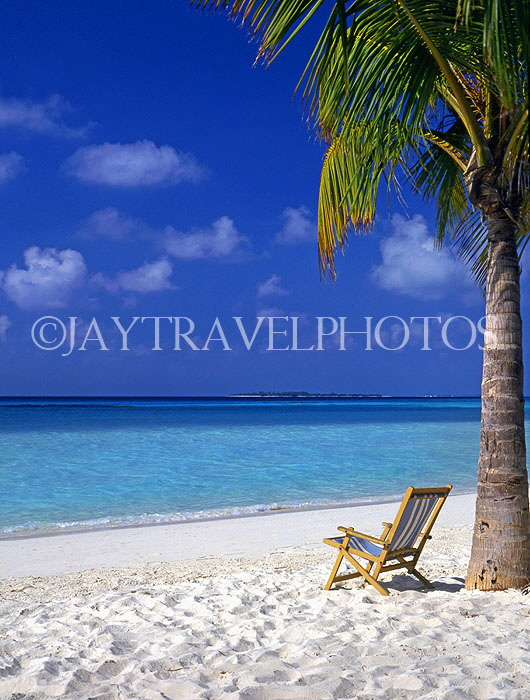 MALDIVE ISLANDS, Kuredu Island, beach with deck chair and coconut tree, MAL616JPL