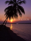 MALDIVE ISLANDS, Kuredu Island, sunset and coconut tree, MAL613JPL