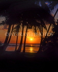 MALDIVE ISLANDS, Kuredu Island, sunset through coconut trees, MAL612JPL