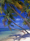 MALDIVE ISLANDS, Maafushi, local fishing island village, leaning coconut trees, MAL117JPL