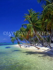 MALDIVE ISLANDS, Maafushi Island (fishing village), leaning coconut trees and seascape, MAL538JPL