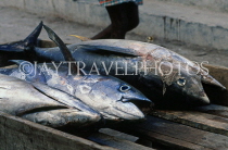 MALDIVE ISLANDS, Male, Tuna fish in market, MAL768JPL