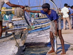MALDIVE ISLANDS, Male, fishermen unloading Tuna catch, MAL649JPL