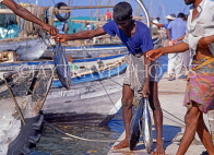 MALDIVE ISLANDS, Male, fishermen unloading Tuna catch, MAL739JPL