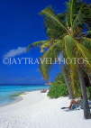 MALDIVE ISLANDS, Velassaru Island, beach and coconut trees, MAL410JPL