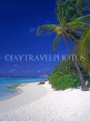 MALDIVE ISLANDS, Velassaru Island, beach and coconut trees, MAL411JPL