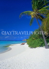 MALDIVE ISLANDS, Velassaru Island, beach and coconut trees, MAL412JPL