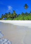 MALDIVE ISLANDS, Velassaru Island, island and beach scene, MAL420JPL