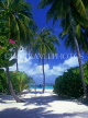 MALDIVE ISLANDS, Velassaru Island, view from inland, through coconut trees, MAL455JPL