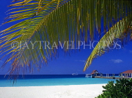 MALDIVE ISLANDS, beach, sea and boat pier, view through coconut tree branches, MAL443JPL