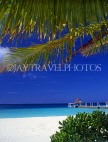 MALDIVE ISLANDS, beach, sea and pier, view through coconut branches, MAL442JPL