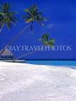 MALDIVE ISLANDS, beach and coconut palms, MAL637JPL