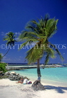 MALDIVE ISLANDS, beach and pier, with two tourists and coconut tree, MAL679JPL