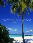MALDIVE ISLANDS, beach scene with boat pier, coconut tree, MAL709JPL