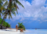 MALDIVE ISLANDS, beach scene with holidaymakers, and coconut trees, MAL737JPL