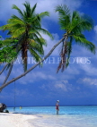 MALDIVE ISLANDS, beach scene with leaning coconut trees, tourist paddling, MAL136JPL