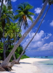 MALDIVE ISLANDS, fishing village island, beach and coconut trees, MALJPL