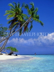 MALDIVE ISLANDS, leaning coconut trees and seascape, MAL696JPL