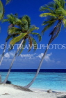 MALDIVE ISLANDS, leaning coconut trees and seascape, MAL756JPL