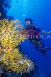 MALDIVE ISLANDS, scuba diver and coral reef, MAL115JPL