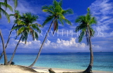 MALDIVE ISLANDS, seascape and coconut trees, MAL129JPL