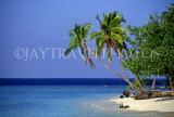 MALDIVE ISLANDS, seascape and island with leaning coconut trees, MAL125JPL