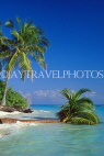MALDIVE ISLANDS, seascape with fallen coconut tree, MAL721JPL