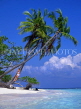 MALDIVE ISLANDS, tourist, leaning coconut trees and seascape, MAL132JPL