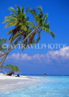MALDIVE ISLANDS, tourist, leaning coconut trees and seascape, MAL727JPL