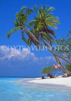 MALDIVE ISLANDS, tourist, leaning coconut trees and seascape, MAL738JPL