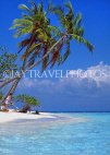 MALDIVE ISLANDS, tourist, leaning coconut trees and seascape, MAL745JPL
