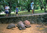MAURITIUS, Casela Nature Park, giant Tortoises, MRU254JPL