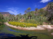 MOROCCO, Atlas Mountain scenery, typical oasis, MOR398JPL