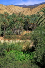MOROCCO, Atlas Mountain scenery, typical oasis and Date palm trees, MOR441JPL