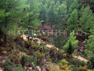 MOROCCO, Atlas Mountains, Imouzzer, tourists on a Mule Trekking tour, MOR436JPL