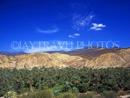 MOROCCO, Atlas Mountains, oasis with Date palm plantation, MOR399JPL