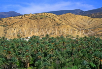 MOROCCO, Atlas Mountains, oasis with Date plantation, MOR53JPL